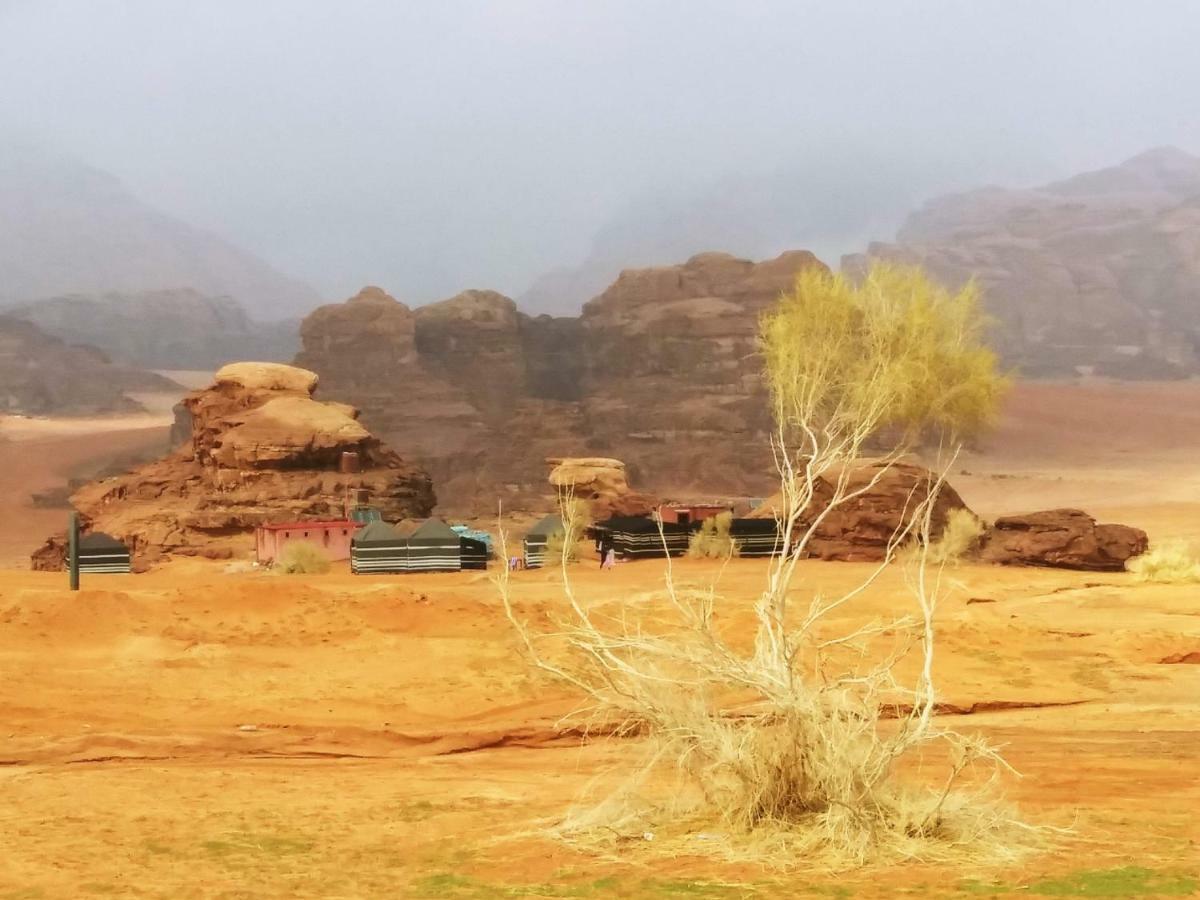 Bedouin Culture Camp Вади Рум Екстериор снимка